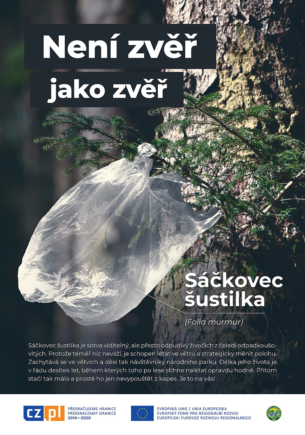 Znáte? Sáčkovec šustilka.