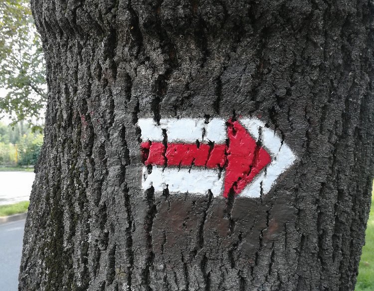 znacka foto 2.jpg Obrazek