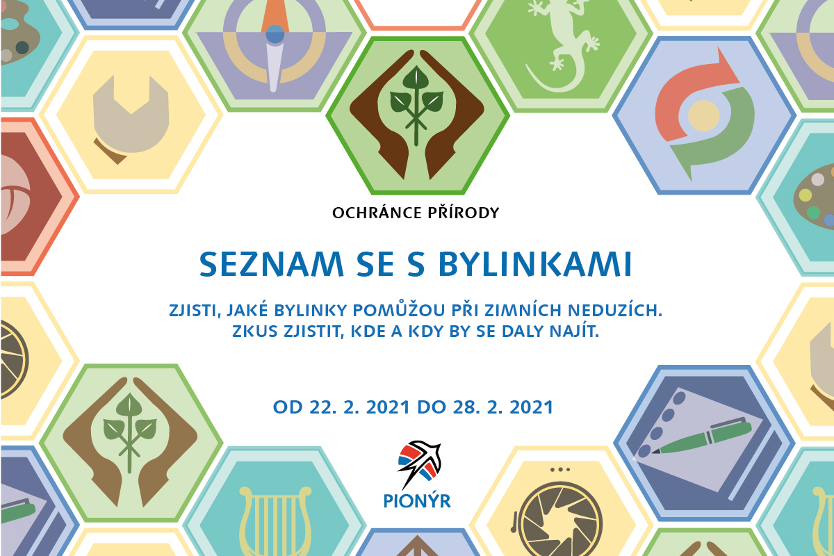 e odborky 16 fb-02.jpg Obrazek